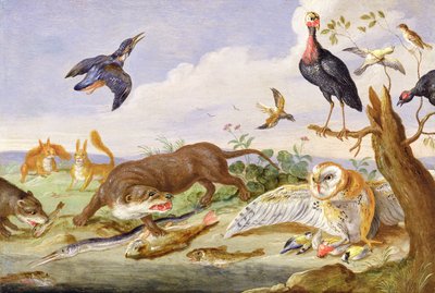 Una lontra e un gufo che guardano le loro prede da Jan van Kessel the Elder